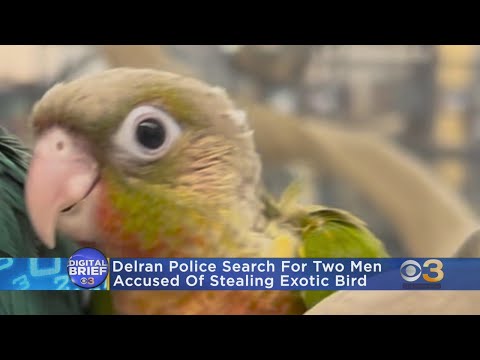 Digital Brief: January 11, 2023 (PM)