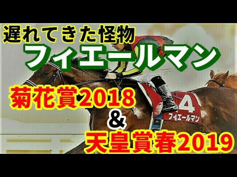フィエールマンＧⅠ勝利レース集【菊花賞2018】【天皇賞春2019】
