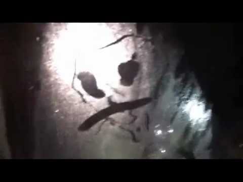 Filed Under: K - Lood