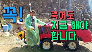 지금하지 않으면 안됩니다 ! 월동한 병균과해충 제대로 죽이기 동계방제가 답이죠~