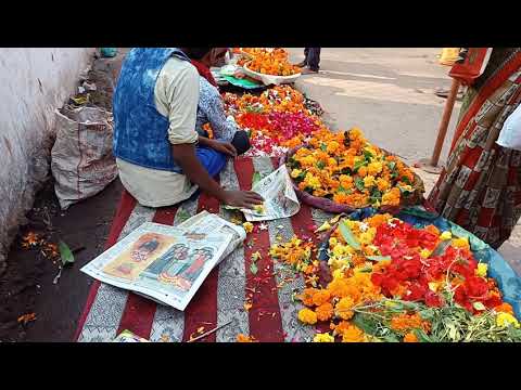 Tirath flower (9993901158)