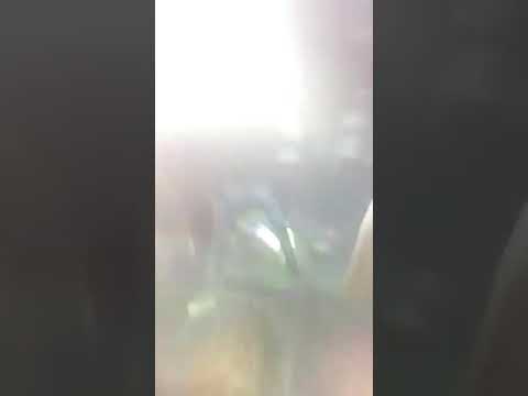 Patrick Miller México