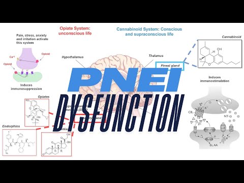 PNEI Dysfunction by Golfran Rivera from TrueCare DPC