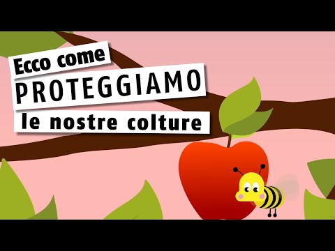 Prevenire è meglio che curare