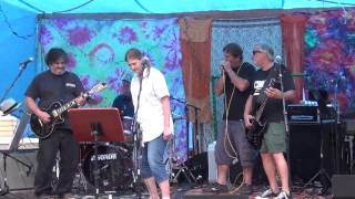 Blues Driver  - Hip Shake Baby