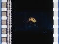 Godzilla Trailer 1997 35mm Flat Stereo UHD