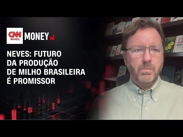 Exportação de milho cresce no Brasil, diz Fava Neves | MONEY NEWS