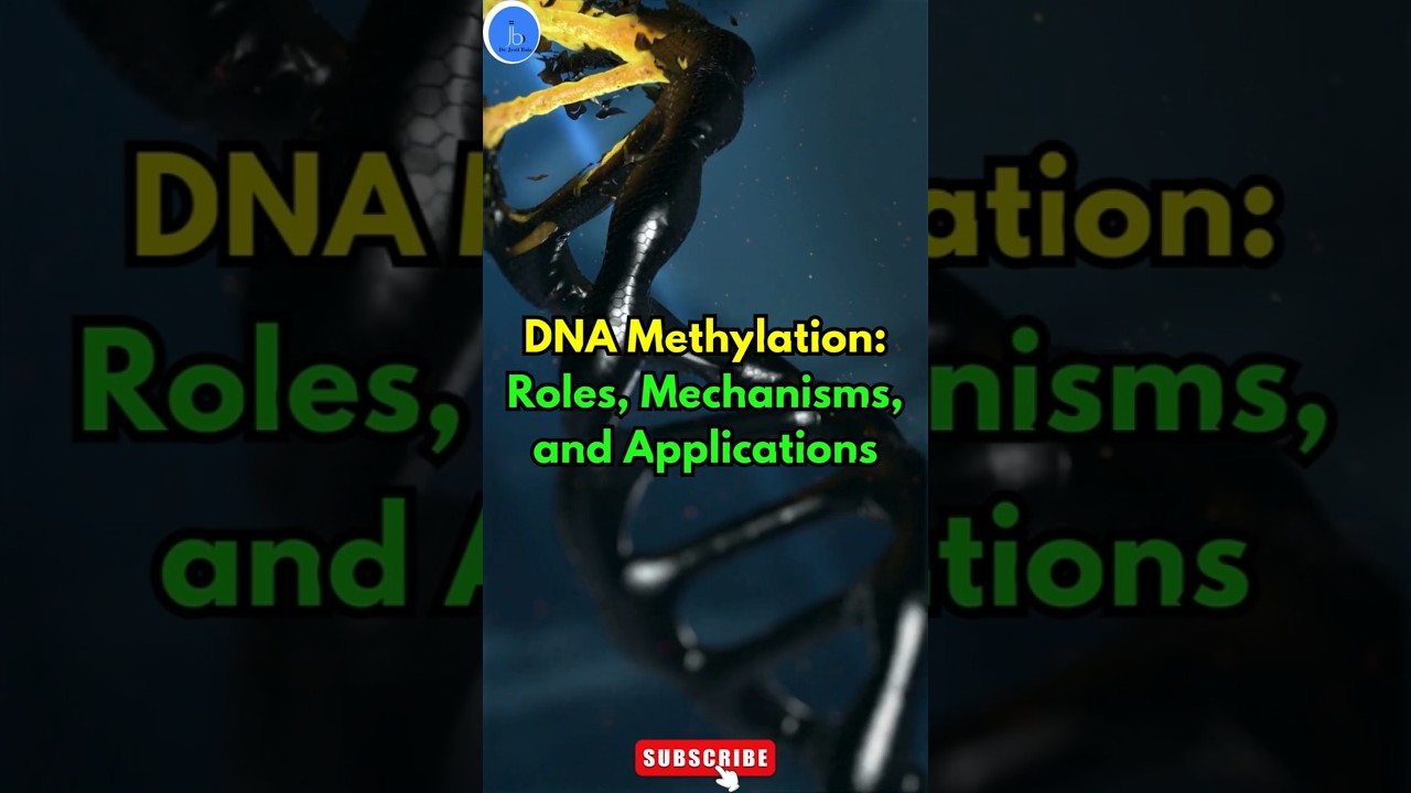 DNA Methylation: Role and Applications| DNA Methylation & Epigenetic Regulation #biotech #genetics