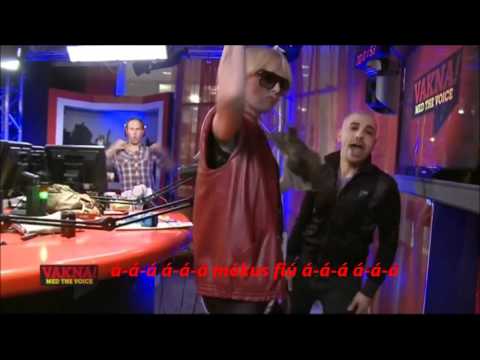 VAKNA! med The Voice - Ekorrgos (magyar felirat)