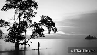 Max Richter : the young mariner