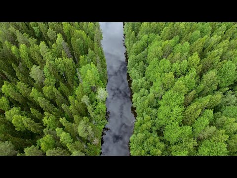 Cloud Jam - Without [Official video]