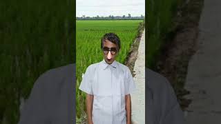 Download lagu Video Lucu di Suatu Desa #funny #funnyvideo #lucu #videolucu #shorts mp3