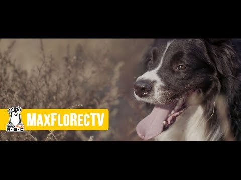 Rahim - Ślepcy (MaxFloXmas) prod. EljotSounds