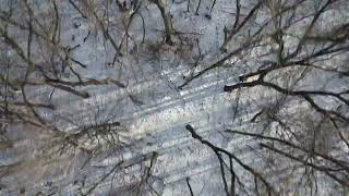 Aerial views of a mixed Wisconsin forest in winter