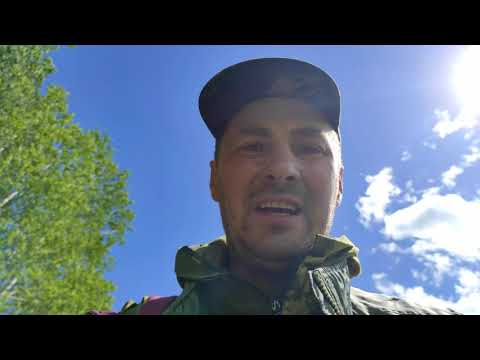 Байки роелова. #Роеловство. Лесной Сталкер.