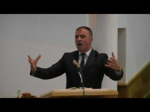 Marturie Mircea Rosca