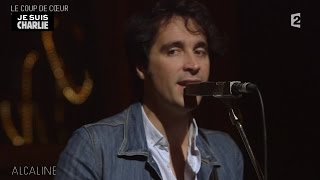 Alcaline, le Mag : Tahiti 80 - Crush! en live