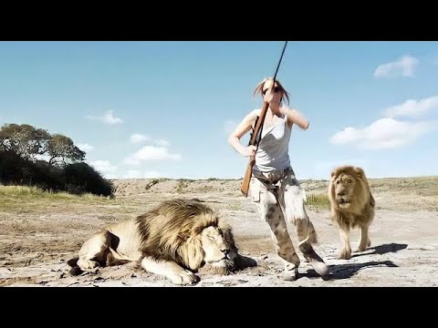 Libaax Dilaa Ah oo Laayay Magaalo Dhan, Wuxuu Na Daba dhigtay Qoys || @QulasadaFilimada