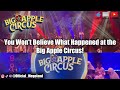 You Won T Believe What Happened At The Big Apple Circus