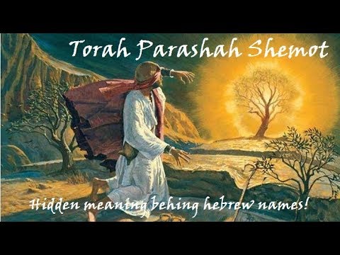 #13 - Torah Parashah Shemot