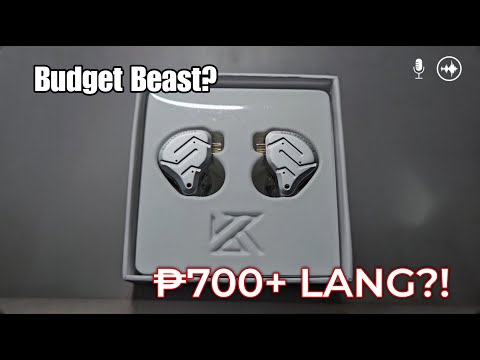 KZ ZSN Pro 2 Review: The Budget IEM Beast? + Mic Test!