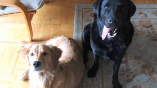 slow down jackson.m4v