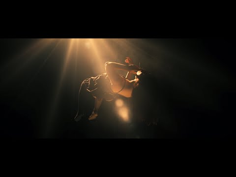 Realecta & CHED - Fly Away (Official Music Video)