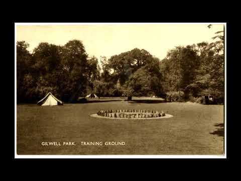 Back To Gilwell video