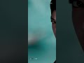 Cheliyacheliya Song WhatsApp Status Full Screen Telugu 4K HD Video Yevadu Ramcharan Love