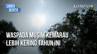 Peringatan BMKG: Musim Kemarau 2026 Datang Lebih Awal dan Lebih Kering, Ini Wilayah Terdampak