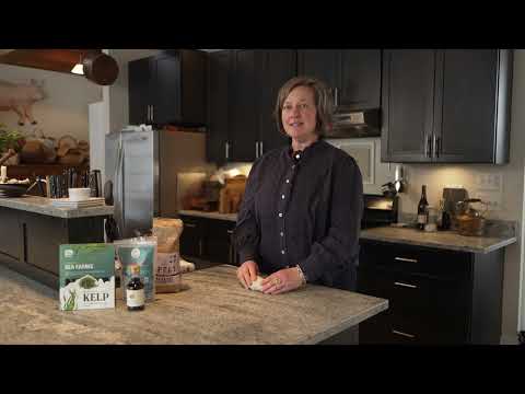 The Maine Food Story | Pork Dumplings