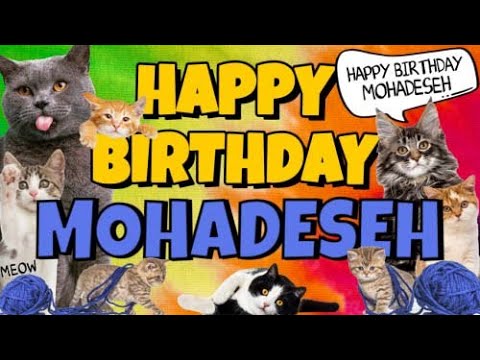 Happy Birthday Mohadeseh! Crazy Cats Say Happy Birthday Mohadeseh (Very Funny)