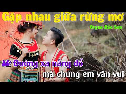 KARAOKE  Gặp Nhau Giữa Rừng Mơ   Song ca nam nữ 2022