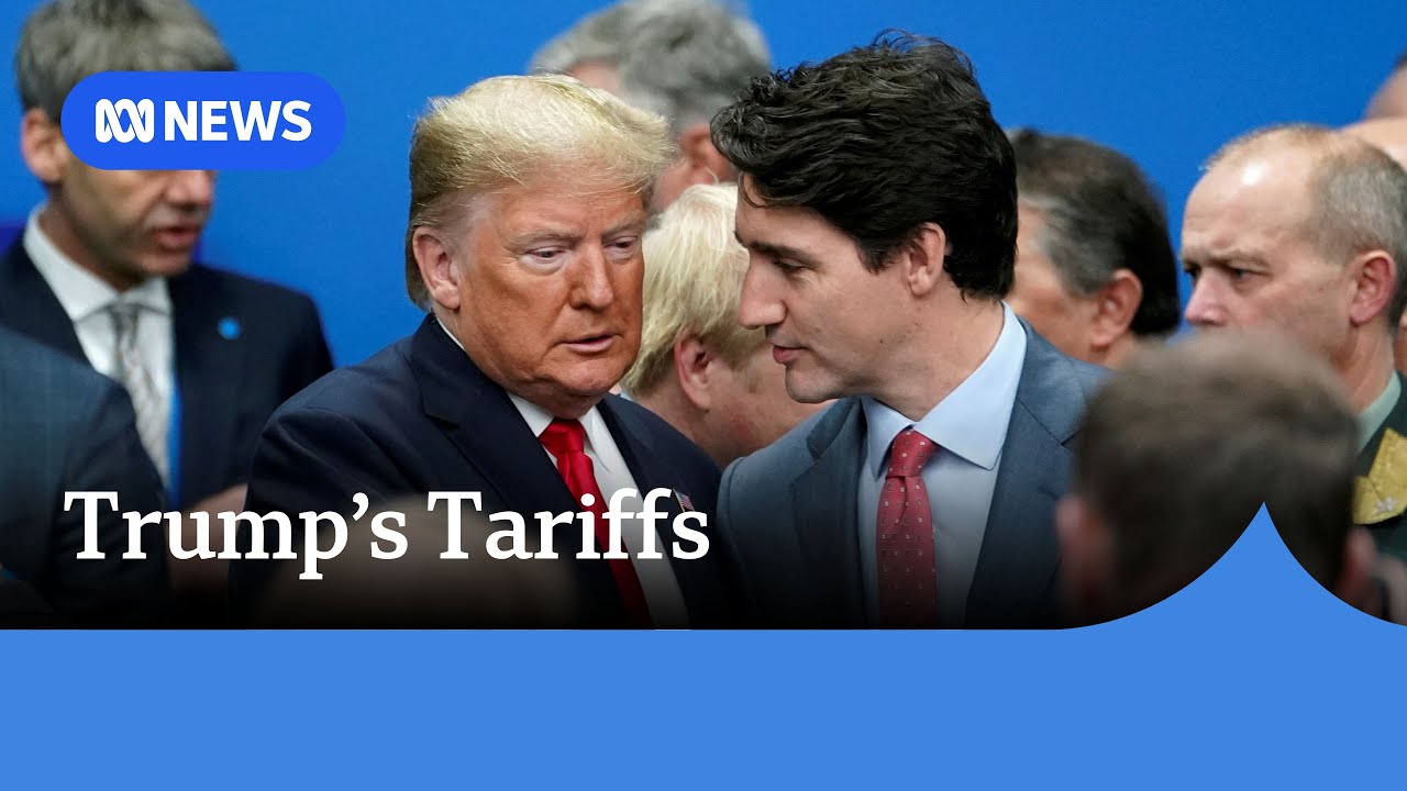 How is Trump framing the tariffs against Canada, Mexico and China? | ABC NEWS