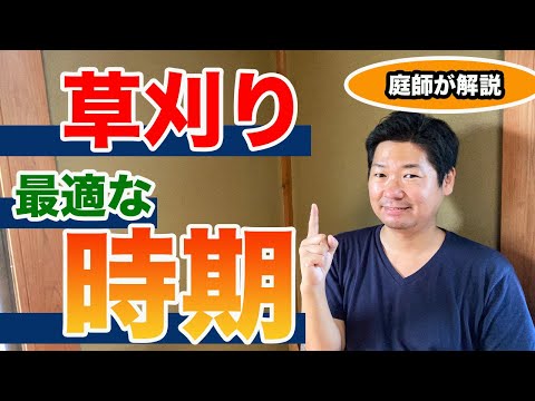 なぜ3月に草刈りをしないのか？冬が終わってから初めて行うのはいつですか？少し待ってからの3つのメリット！  庭園