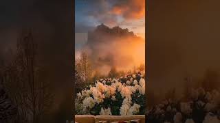 Download lagu Veer Zara Theme Ringtone | Tere Liye Ringtone mp3