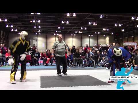 Mattheu Williams vs Jason Grenier - Super Fights - Quebec Open 2015