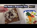 Not Quite A Bugroom Tour Part I petbugs