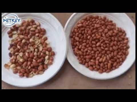 Peanut Color Sorting Machine