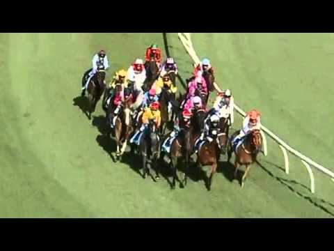 Group 2 Perth Cup - Delicacy