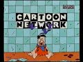 CN Spot 1998