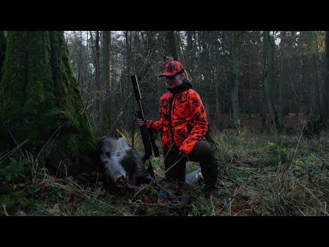 Drückjagd - SAUEN aus der Suhle - Filmausschnitt Drückjagd des Jahres - Hunt on Demand - jagenNRW