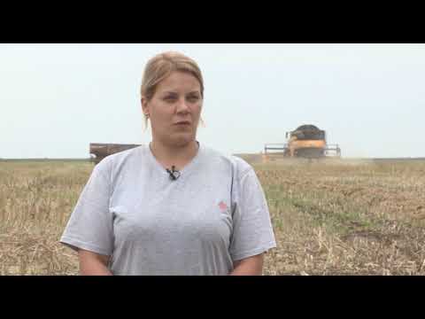 Može bolje ep.65 02.07.2018. - Proizvodnja uljane repice