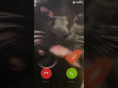 Andaluz - Ringtones Coge El Telefono