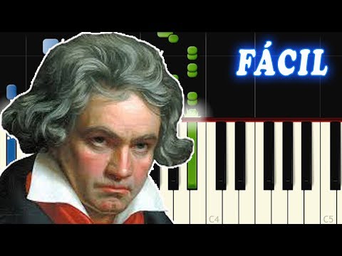 Para Elisa / Beethoven FACIL Piano Tutorial