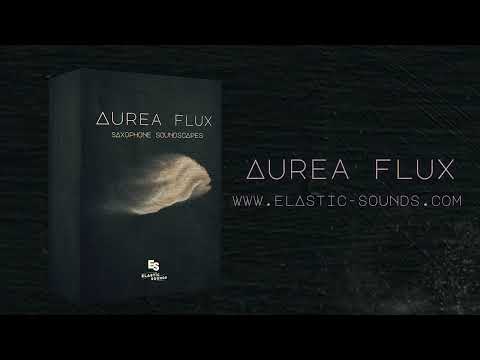 Free Download Aurea Flux v1.1 KONTAKT