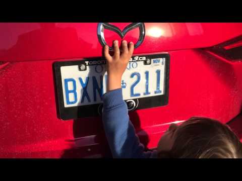 Felix plates Mar 2016