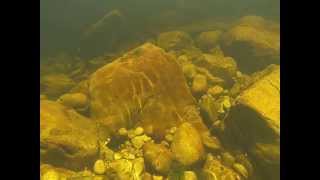 preview picture of video 'Following a fish underwater in Bains Kloof, South Africa'