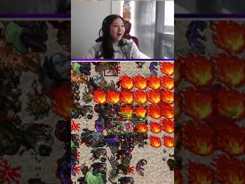 TIBIA DOUBLE EXP - MS 8BOX META | #ayceadventure on #Twitch #tibia #gaming #mmorpg