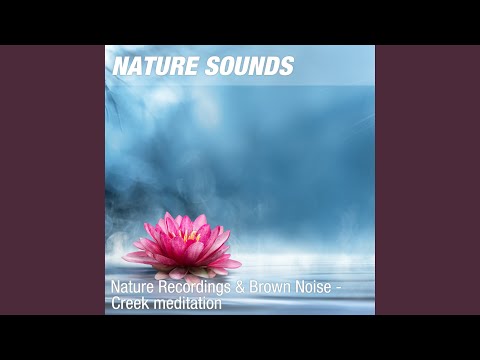 Nature Sounds for Sleep, Relaxation & Zen Yoga (Peaceful creek, brown noise) 16